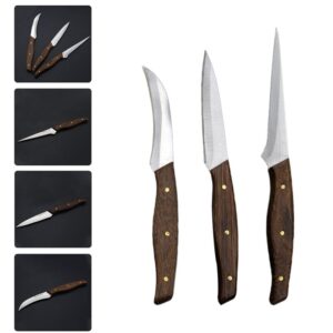 Hemoton Vegetable Fruit Carving Knife DIY: Professional Chef Knife Food Fruit Paring Knife Kitchen Tool Utensils 1 Set