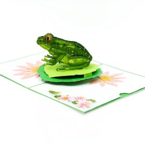 Rykamia Green Frog Pop Up Card, Blank Frog Card With Envelop, Frog Birthday Card, Frog Card for Kids, Frog Gift, Just Because, Get Well Soon, Frog Thank You Card, Frog Card For Mom, Wife, Daughter