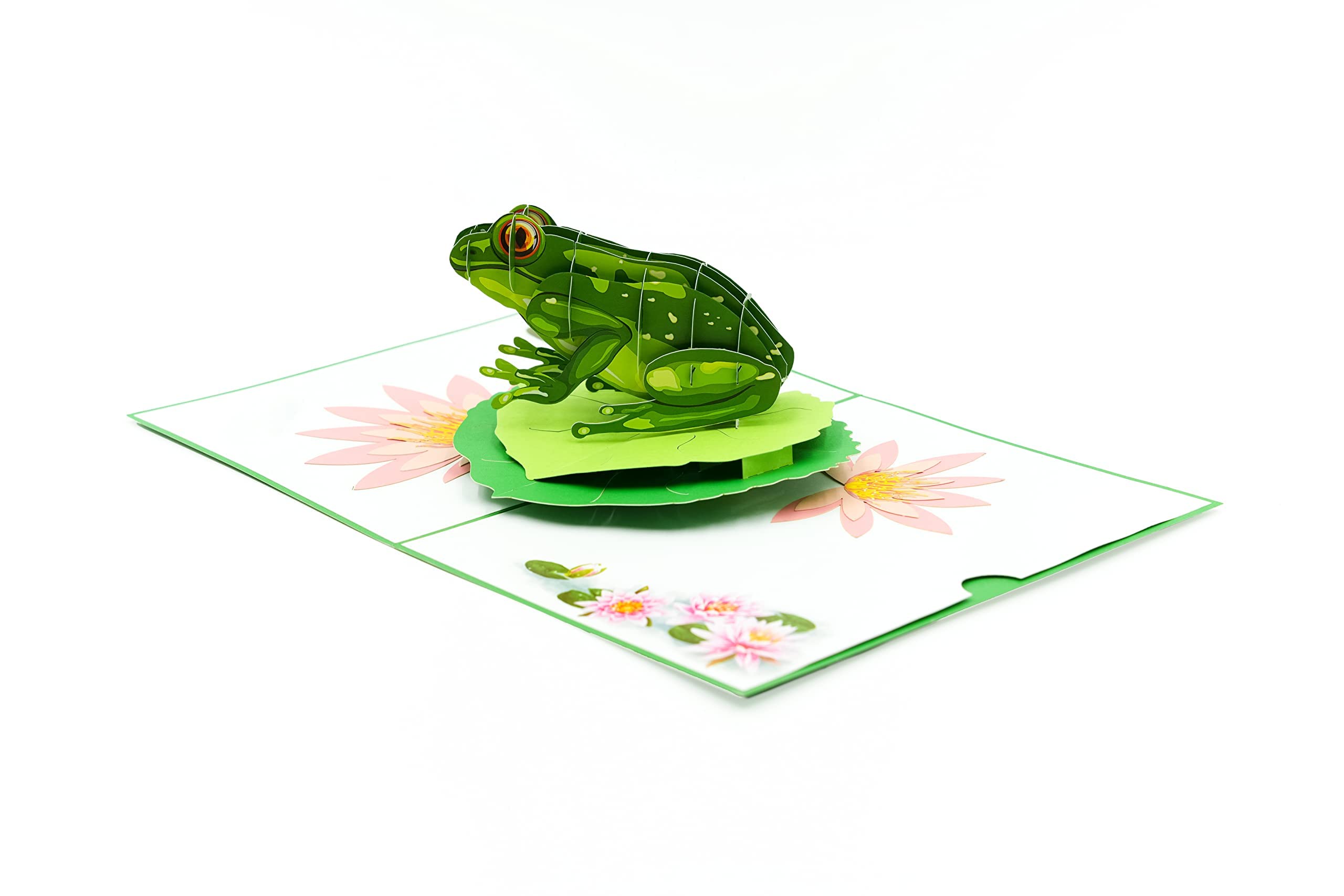 Rykamia Green Frog Pop Up Card, Blank Frog Card With Envelop, Frog Birthday Card, Frog Card for Kids, Frog Gift, Just Because, Get Well Soon, Frog Thank You Card, Frog Card For Mom, Wife, Daughter