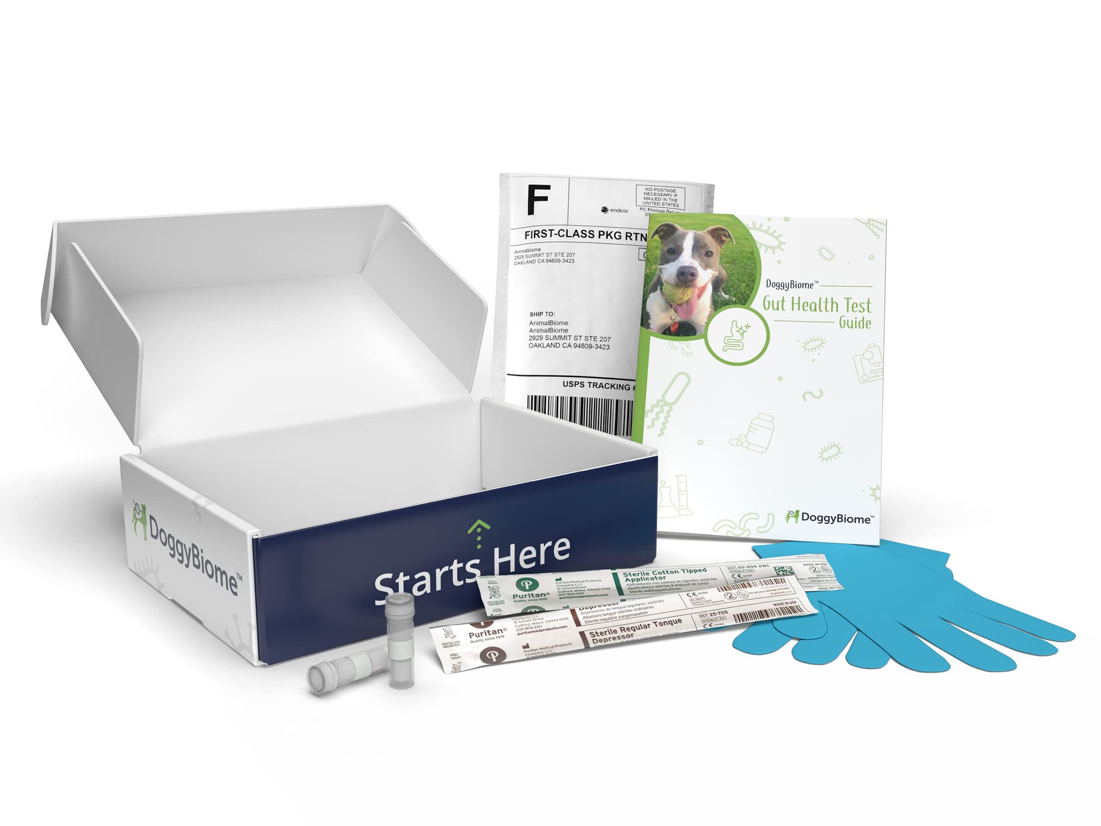 AnimalBiome Dog Probiotics Test Kit - Gut Microbiome Health Test - DoggyBiome