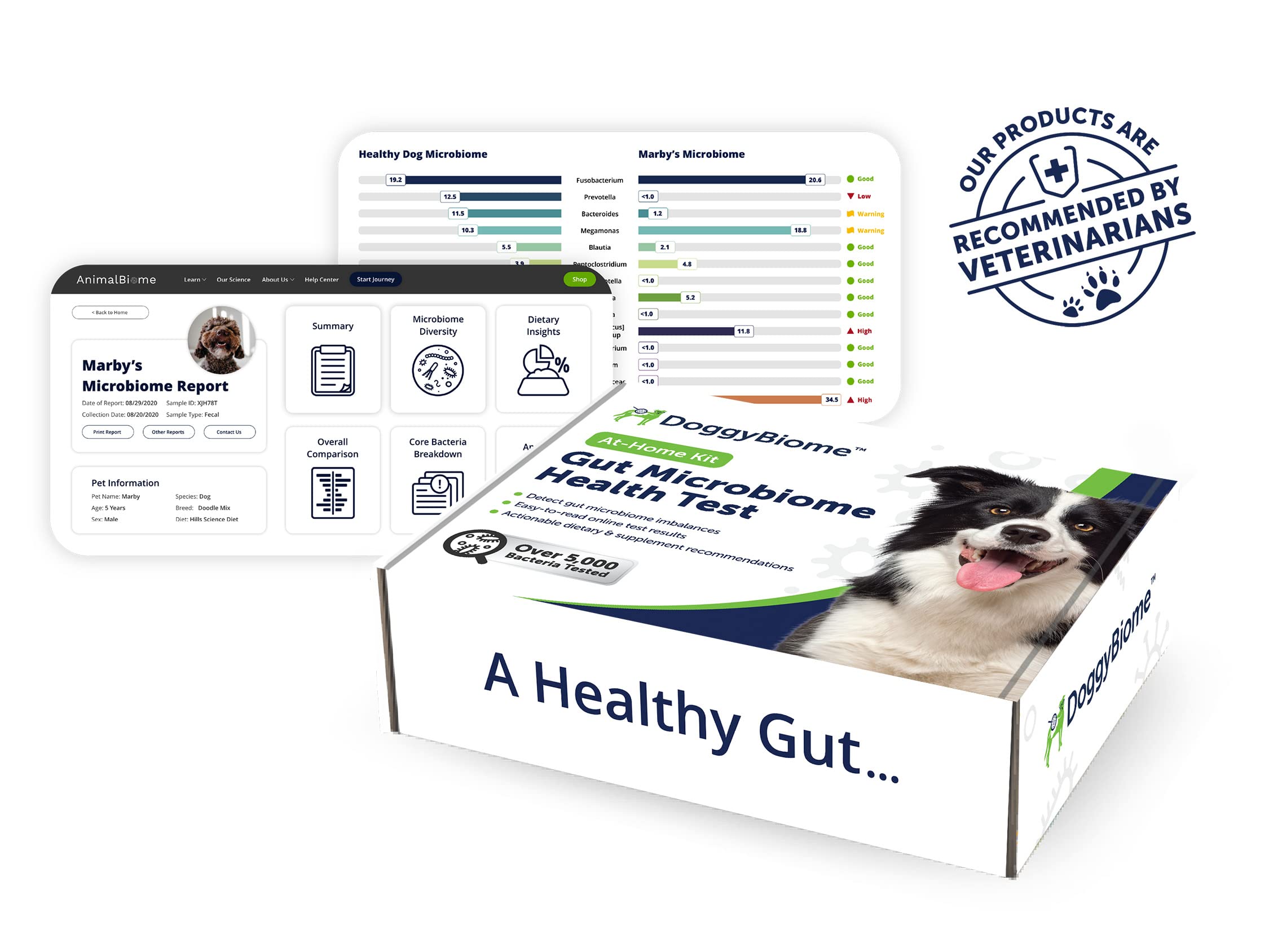 AnimalBiome Dog Probiotics Test Kit - Gut Microbiome Health Test - DoggyBiome