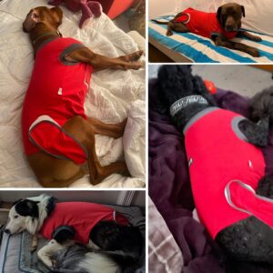 Dog Recovery Suit Body Suit After Surgery Dog Onesie Cone Alternatives Spay Neuter Suit Surgical Recovery Suit for Female Male Dogs (XXX-Large, Red)