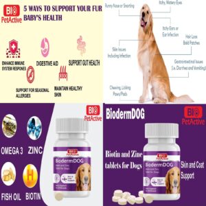 Bio Pet Active BiodermDOG 0.5 Zinc and Biotin Tablets for Dogs, Immune System, Skin, Coat and Nail Support for Dogs, 1.32 oz, 75 Chewable Tablets