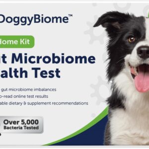 AnimalBiome Dog Probiotics Test Kit - Gut Microbiome Health Test - DoggyBiome