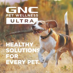 GNC Ultra for Pets Calming Oil Tincture for Dogs, 2 fl. oz | Calming Drops for Dogs | Dog Supplements for Anxiety Supplements for Pets with Stress | Dog Supplements