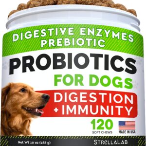 No Poo Treats + Dog Probiotics for Picky Eaters Bundle - No Poop Eating for Dogs + Chewable Fiber Supplement - Digestive Enzymes + Prebiotics - Coprophagia Stool Eating Deterrent + Improve Immunity