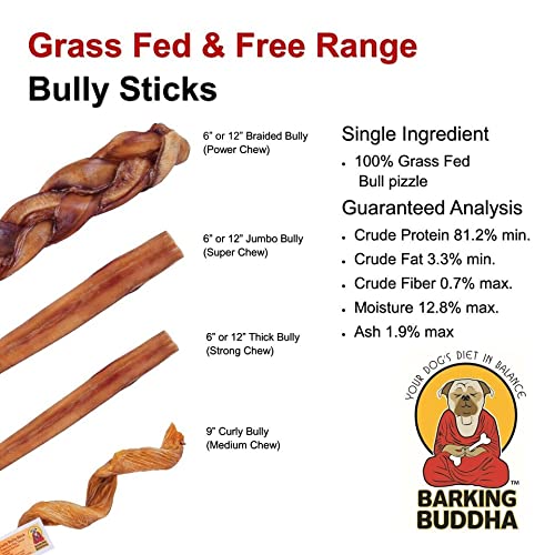 Barking Buddha 12 Inch Jumbo Bully Sticks for Dogs - Premium Fully Digestible, Odor Free 100% All Natural Tasty Beef Pizzle Chew Treats (Pack of 4)