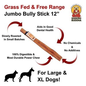 Barking Buddha 12 Inch Jumbo Bully Sticks for Dogs - Premium Fully Digestible, Odor Free 100% All Natural Tasty Beef Pizzle Chew Treats (Pack of 4)