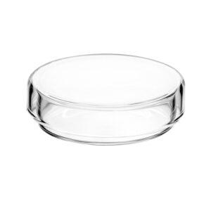 QWORK Glass Petri Dish Petri Plates with Lid, Thicken, 60mm x 18mm, 5 Pack