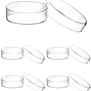 QWORK Glass Petri Dish Petri Plates with Lid, Thicken, 60mm x 18mm, 5 Pack