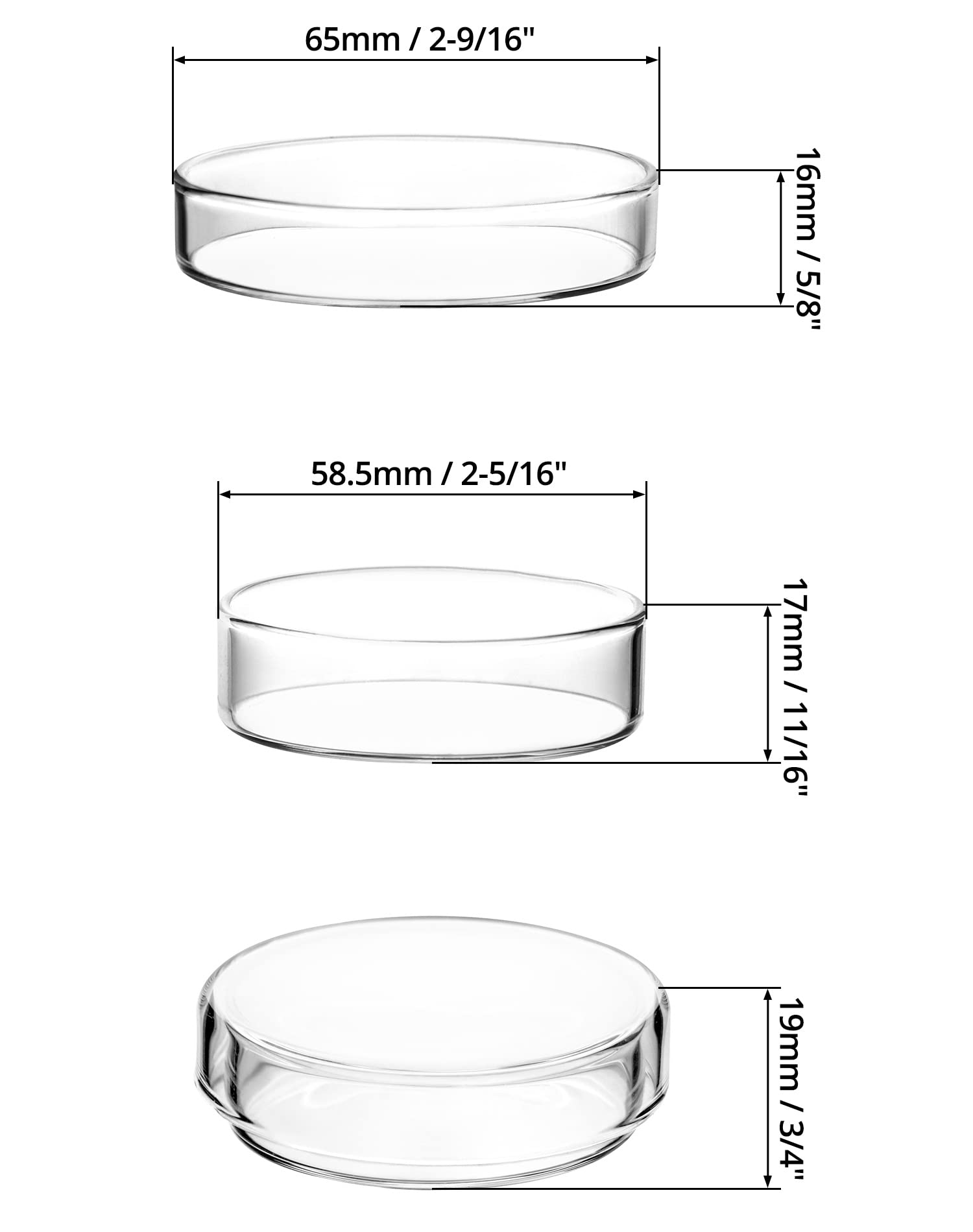 QWORK Glass Petri Dish Petri Plates with Lid, Thicken, 60mm x 18mm, 5 Pack