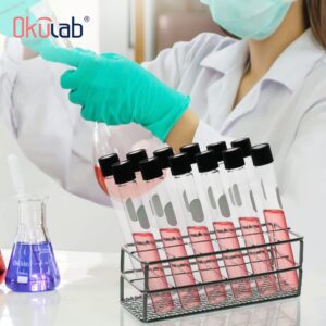 Test Tube Rack, 2pcs of 12 Holes Stainless Steel Test Tube Racks, Suitable for Tubes of Dia.≤21mm, Wire Constructed Test Tube Holder, for Classroom, Lab, TTRS12A2