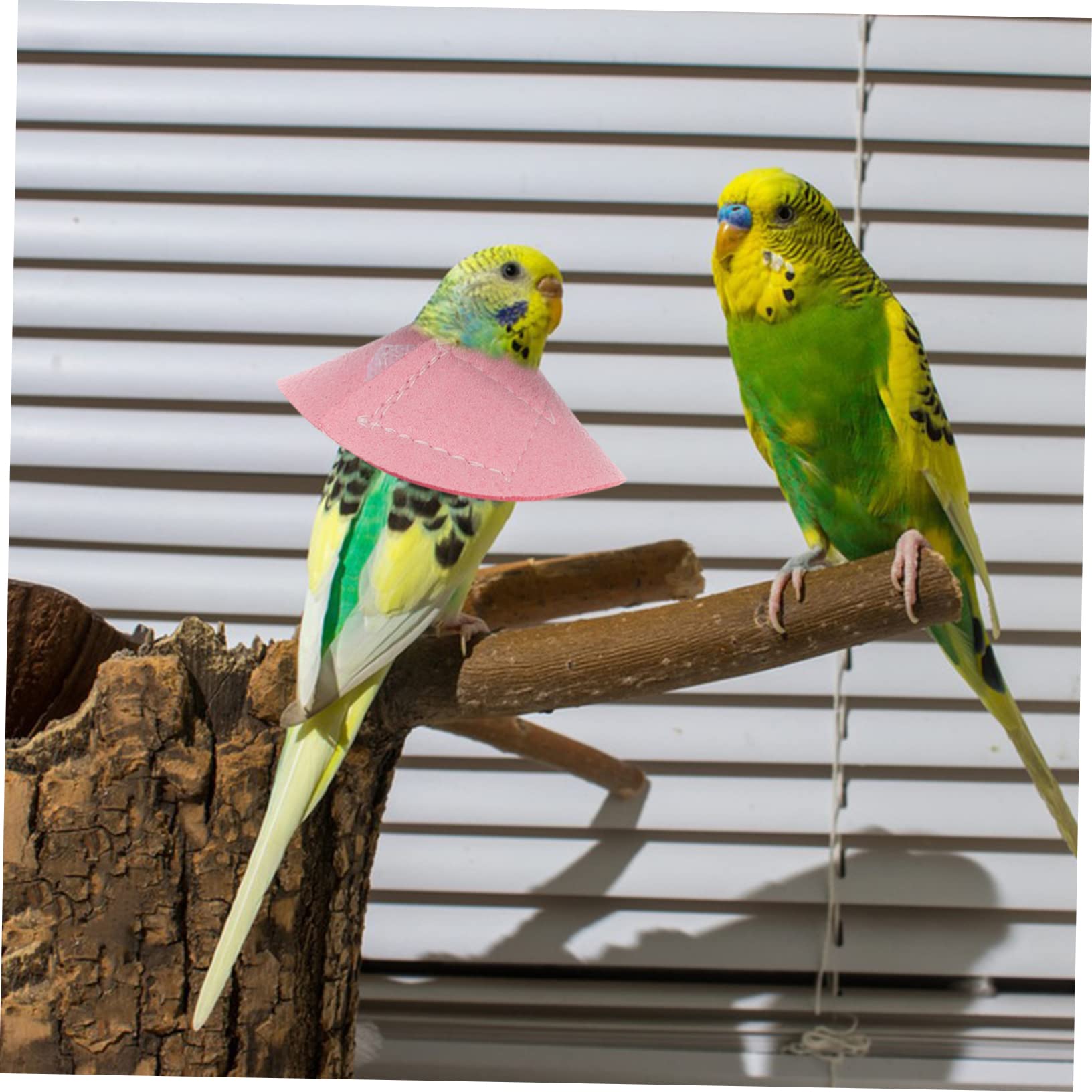 Hemobllo 2Pcs Bird bite Collar Parrot Neck Cone Puppy Collars for Small Puppies Parrot Recovery Cone Bird Recovery Collar Cockatiel -Biting Neck Ring Xuan Feng Fur Collar Korean Velvet