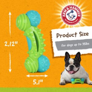 Arm & Hammer for Pets Nubbies Duality Bone Dental Dog Toy- Best Dog Chew Toy for Moderate Chewers- Dog Dental Toy Helps Reduce Plaque & Tartar- Green Apple Flavor Baking Soda (Pack of 1)