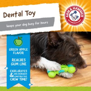 Arm & Hammer for Pets Nubbies Duality Bone Dental Dog Toy- Best Dog Chew Toy for Moderate Chewers- Dog Dental Toy Helps Reduce Plaque & Tartar- Green Apple Flavor Baking Soda (Pack of 1)