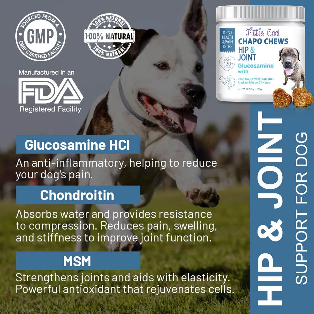 Pittie Cool Chapo Chews, 120 Glucosamine Hip & Joint Supplement for Dogs, Extra Strength, Chondroitin, MSM, Probiotics, Hemp & Salmon Oil. Treats Arthritis, Pain & Inflammation, Mobility, Gut Health