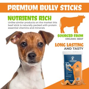 K9warehouse® - Curly Bully Sticks for Dogs - 5 to 8 inch, 6 Pack - High Protein, Odor Free Springs, Natural Pizzle Spiral Dog Chews - Perfect Treats for Small, Medium, Large Dogs - Rawhide Alternative