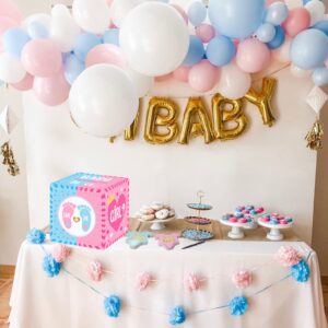 hongpar Baby Gender Reveal Pull Out Game , Voting Box with 60 Ballot Cards, Boy or Girl, Party Supplies,Pink and Blue