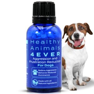 healthy animals 4ever all-natural dog calming tablets for stress and aggressive behavior - help reduce dog aggression/frustration & promote relaxation - homeopathic & highly effective - 300 tablets