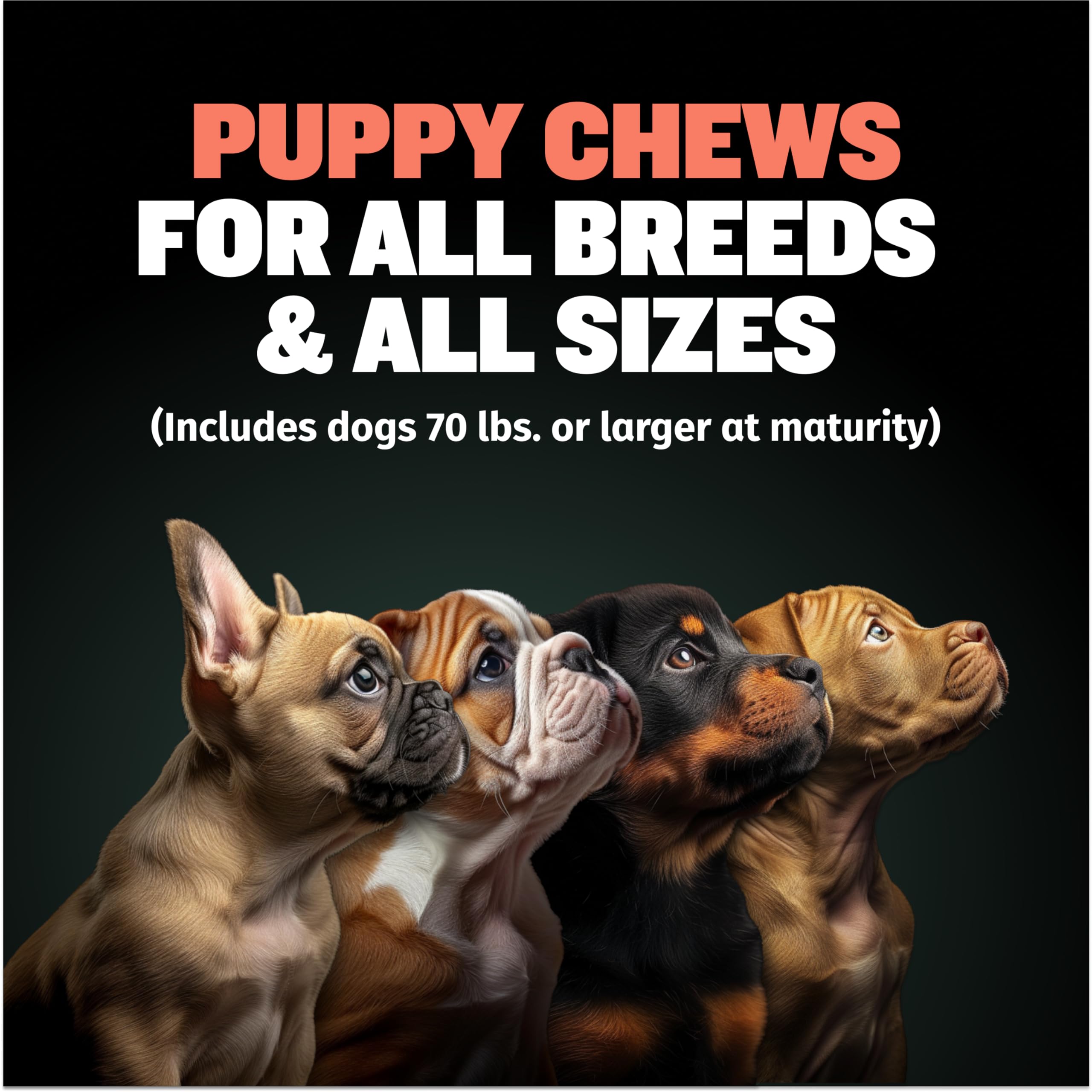 Bully Max 2-in-1 Puppy Soft Chews for Immunity & Growth - Puppy Treats, Supplements & Vitamins for Health & Immune Support - Essential Dog Multivitamin for All Breeds, Small & Large Breed Puppies