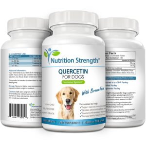 Nutrition Strength Quercetin for Dogs with Bromelain to Support Balanced Immune System, Promote Inflammatory Relief & Antioxidant Activity, Quercetin for Dog Allergies, 120 Chewable Tablets