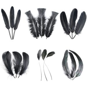 larryhot black craft feathers bulk - 240pcs 6 style mixed natural feathers for wedding home party, dream catcher supplies and diy crafts (black)