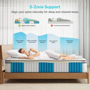 Serweet 10 Inch Memory Foam Hybrid Queen Mattress - 5-Zone Pocket Innersprings Motion Isolation - Heavier Coils for Durable Support -Pressure Relieving - Medium Firm - Made in Century-Old Factory