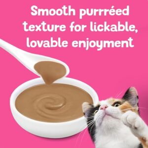 Purina Friskies Pureed Cat Food Topper, Lil’ Shakes With Scrumptious Salmon Lickable Cat Treats - (Pack of 16) 1.55 oz. Pouches