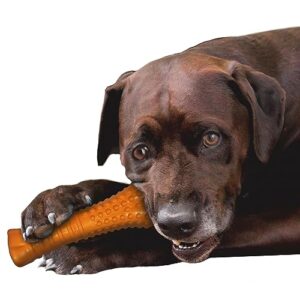 Nylabone Strong Chew Silver Collection Chew Toy for Senior Dogs, Beef Flavor, X-Large/Souper (1 Count)