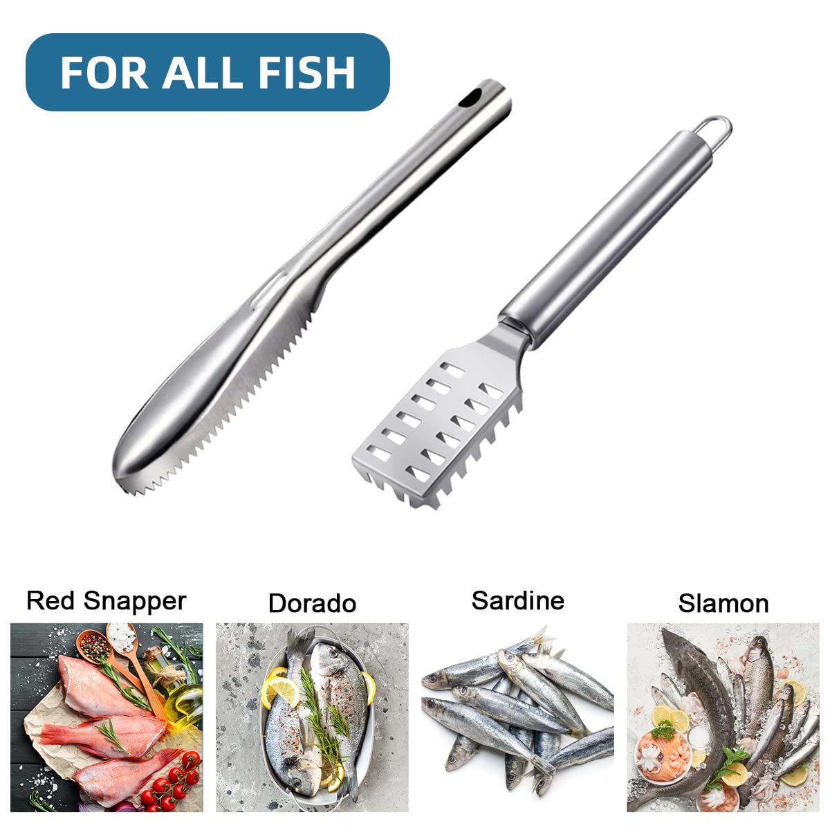 Fish Scaler Stainless Steel Fish Scaler Remover No Mess Easily Remove Fish Scales,Fish Skin Scraper for Kitchen Fish Cleaning Kit,Fish Descaler Tool Suitable for All Fish,with One Glove… (Large)