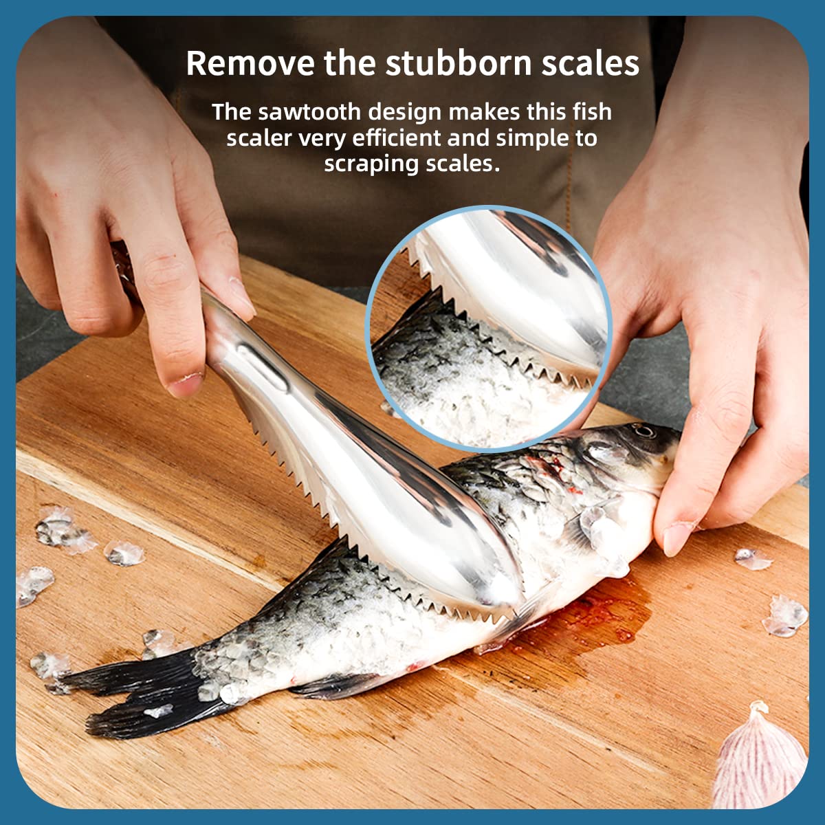 Fish Scaler Stainless Steel Fish Scaler Remover No Mess Easily Remove Fish Scales,Fish Skin Scraper for Kitchen Fish Cleaning Kit,Fish Descaler Tool Suitable for All Fish,with One Glove… (Large)