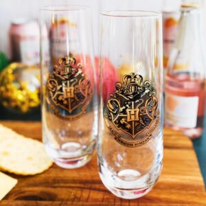 Harry Potter Hogwarts 9-Ounce Stemless Fluted Glassware, Set of 2 | Toasting Champagne Glass Cups For Wine, Mimosas, Cocktails | Home Barware Decor, Kitchen Essentials, Housewarming Gifts