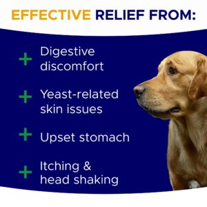 GOODGROWLIES Probiotics for Dogs Gut Health & Digestive Function Support - Probiotic Chews w Pumpkin & Omega - Upset Stomach & Gas Relief, Constipation, Canine Prebiotic Supplement