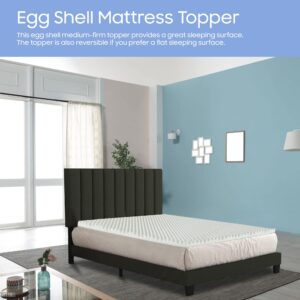 Greaton Breathable 2-inch Convoluted Egg Shell Foam Mattress Topper | Toppers for Mattresses Adds Ultimate Comfort, Reduces Back Pain, Perfect Body Support, Maintain Proper Posture, Twin, White