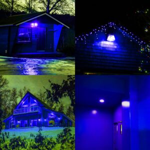 REMINDA Blue Flood Light Bulbs, 15W (100 Watt Equivalent) E26 Base Par38 LED Blue Light Bulb for Halloween Decor, Holiday, Christmas, Porch, Backyard (2 Pack)