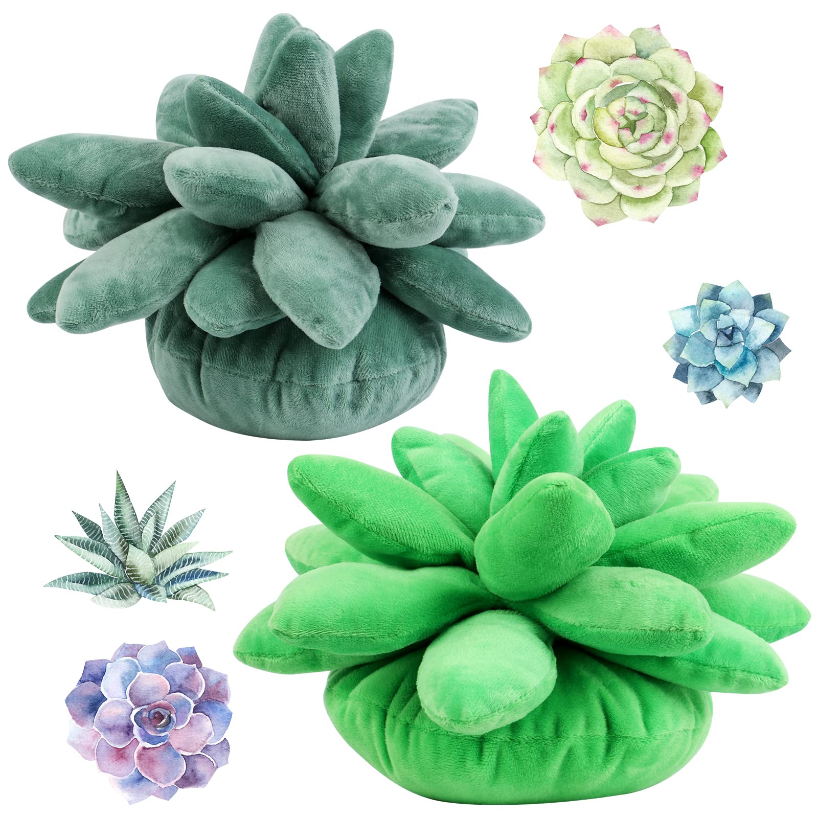 2Pcs 3D Succulents Cactus Pillow 9.8x7.8 Inch 3D Succulent Throw Pillow Cactus Plush Cute Succulents Flower Plant Shaped Cushion Baby Green Plant Throw Pillows Sofa Cushion Office Pillow Kids Toys