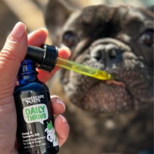 Homescape Pets Bundle - Mussel Mobility + Daily Thrive Pet Supplements for Arthritis, Hip and Joint Mobility and Help Calm Aches & Improve Immunity - for Dogs and Cats