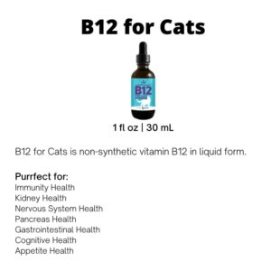 Jackson Galaxy: B12 for Cats-Dietary Supplement-Supports The Health of Your cat’s Immune System, Nervous System, Digestive System & Cognitive Function.