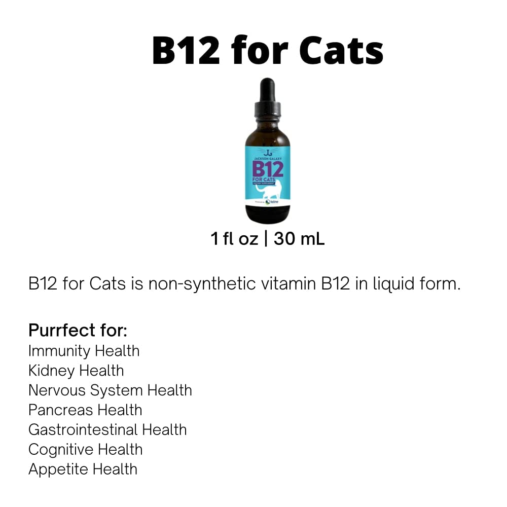 Jackson Galaxy: B12 for Cats-Dietary Supplement-Supports The Health of Your cat’s Immune System, Nervous System, Digestive System & Cognitive Function.