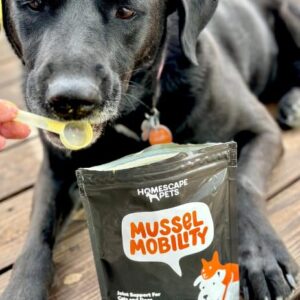 Homescape Pets Bundle - Mussel Mobility + Daily Thrive Pet Supplements for Arthritis, Hip and Joint Mobility and Help Calm Aches & Improve Immunity - for Dogs and Cats