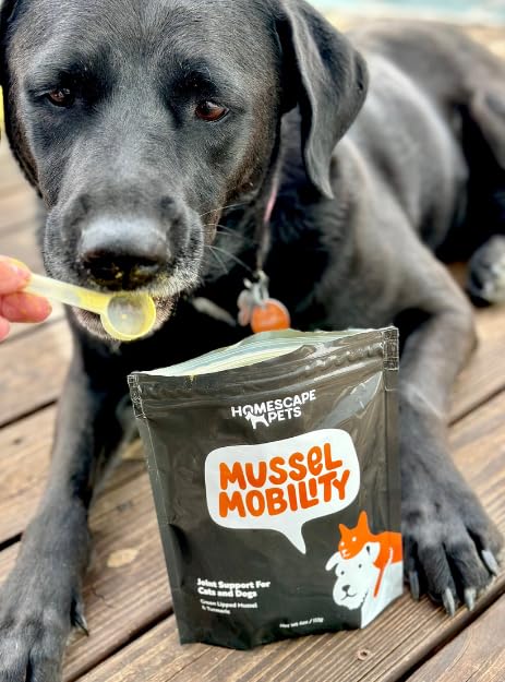 Homescape Pets Bundle - Mussel Mobility + Daily Thrive Pet Supplements for Arthritis, Hip and Joint Mobility and Help Calm Aches & Improve Immunity - for Dogs and Cats