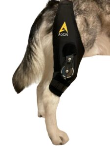 agon dog knee brace – professional knee support brace for dogs with adjustable hinge stabilizer – premium neoprene hip brace for knee support, dog recovery, and joint support (right leg, x-large)