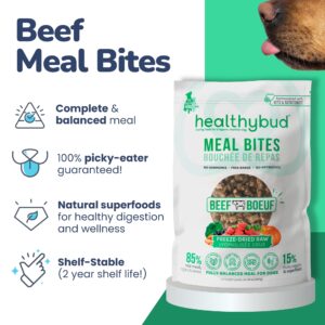 healthybud Raw Dog Food, Freeze Dried Beef Bites, Grain Free Puppy Food, Human Grade, High Protein, Dehydrated Real Meat Dog Treats & Toppers, 14.1 oz