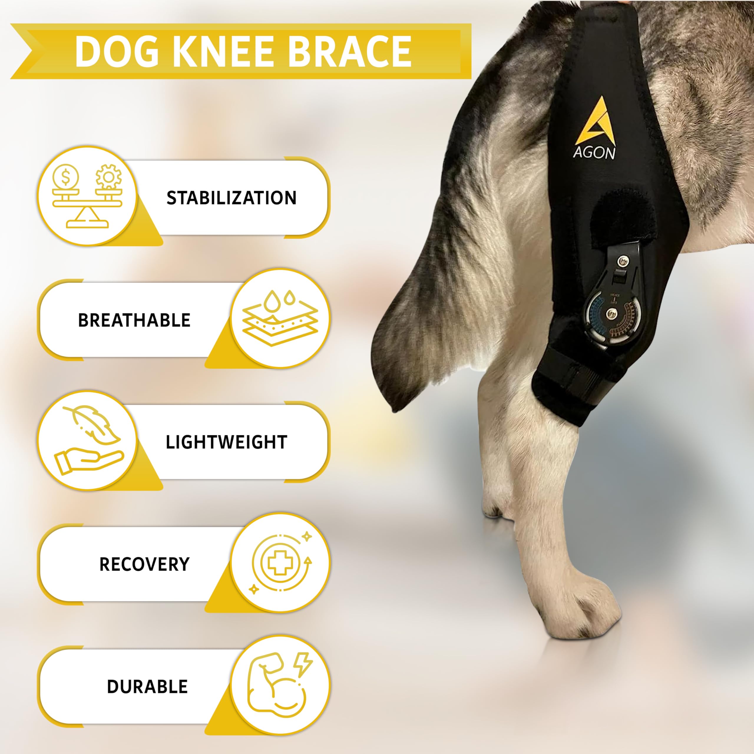 AGON Dog Knee Brace – Professional Knee Support Brace for Dogs with Adjustable Hinge Stabilizer – Premium Neoprene Hip Brace for Knee Support, Dog Recovery, and Joint Support (Right Leg, X-Large)