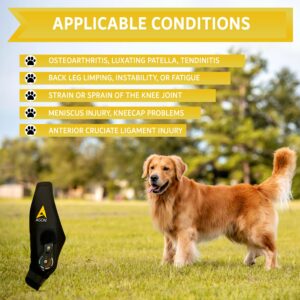 AGON Dog Knee Brace – Professional Knee Support Brace for Dogs with Adjustable Hinge Stabilizer – Premium Neoprene Hip Brace for Knee Support, Dog Recovery, and Joint Support (Right Leg, X-Large)