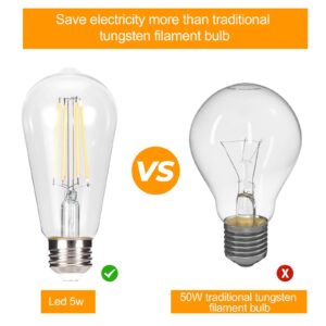 truestory Dimmable Vintage LED Edison Bulbs, 5W, Equivalent 50W, 450lm, Warm White 2700K, ST19(ST58) LED Filament Bulbs, E26 Medium Base, Clear Glass, Pack of 6 (Warm Light)