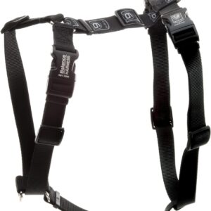 Blue-9 Buckle-Neck Balance Harness, Fully Customizable Fit No-Pull Harness, Ideal for Dog Training and Obedience, Made in The USA, Black, Medium/Large