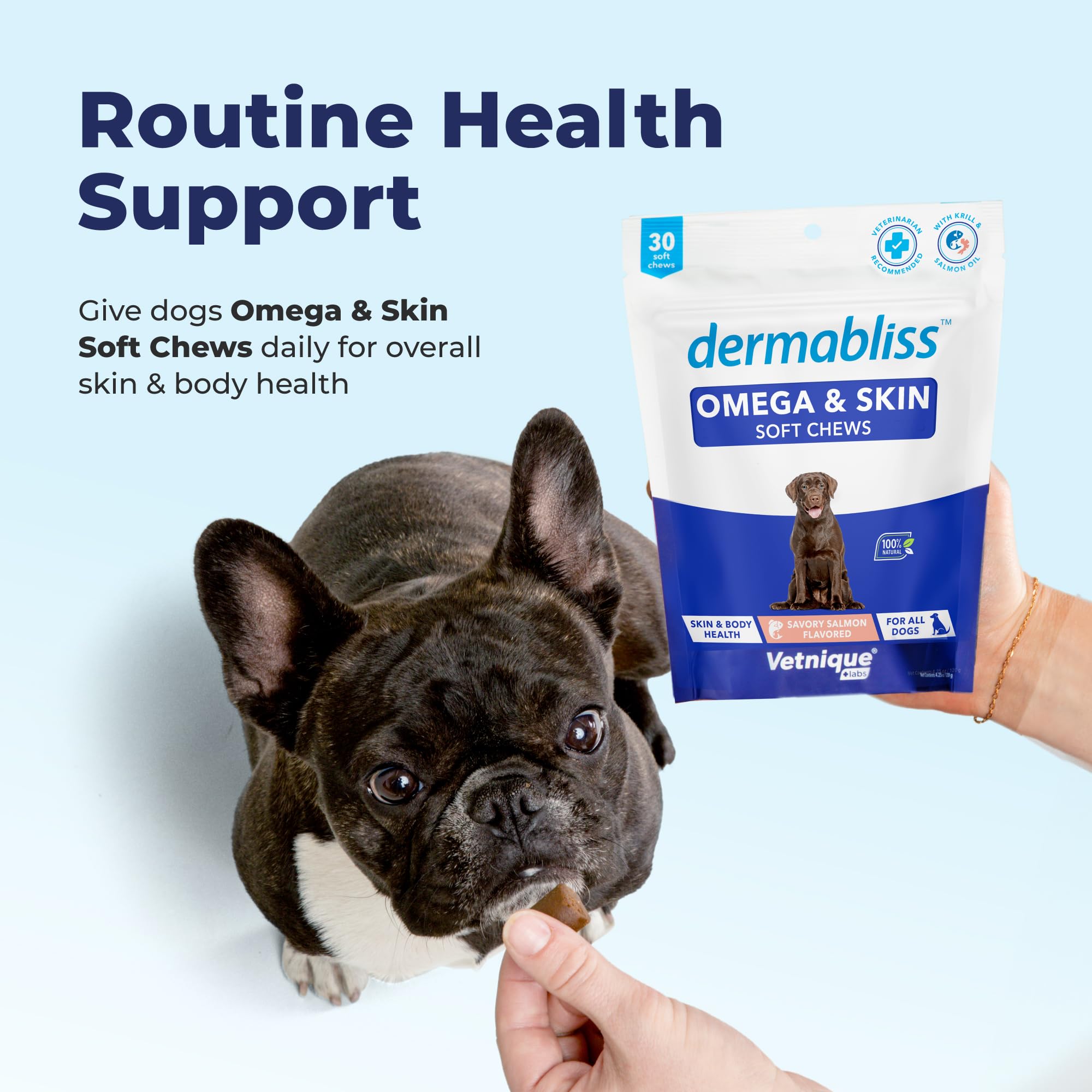 Vetnique Dermabliss Omega & Skin Health Fish Oil for Dogs Soft Chews Healthy Skin & Coat for Dogs with Biotin & DHA - Hickory Salmon Dog Treats (60ct Chews)