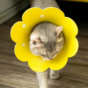 Jakonay 3Pcs Cat Recovery Collar Cat Protection Collar Cones for Cats Sunflower Neck Cat Cone Anti-Licking Recovery Collar to Prevent from Biting Scratching(Pink, Orange, Yellow) (S)