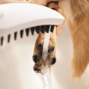 hansgrohe Outdoor Pet Shower with Quick Connect 3-Spray Fur Spray, Leg Spray, Paw Spray in White, 04973700